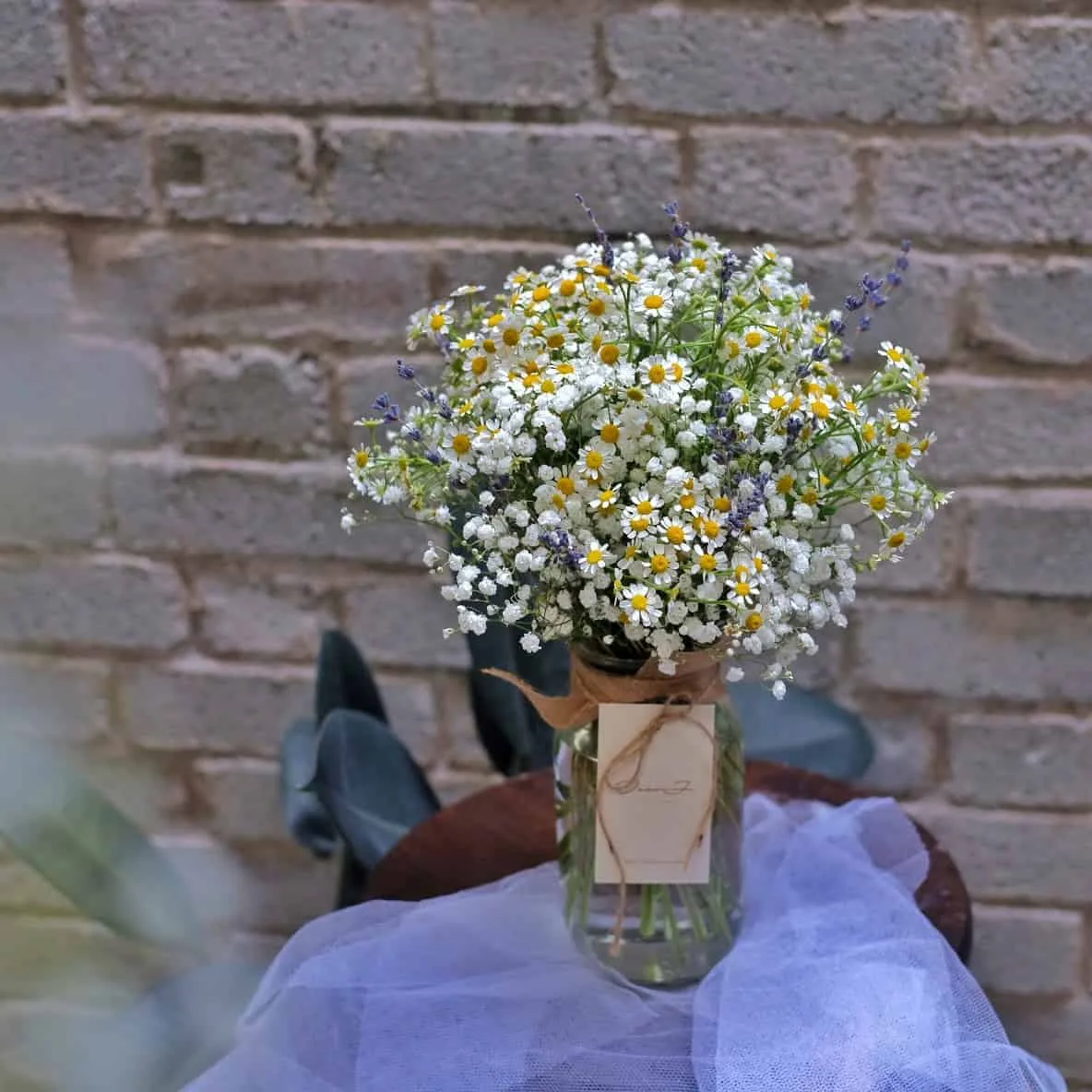 Chamomile & Baby's Breath in jar 1