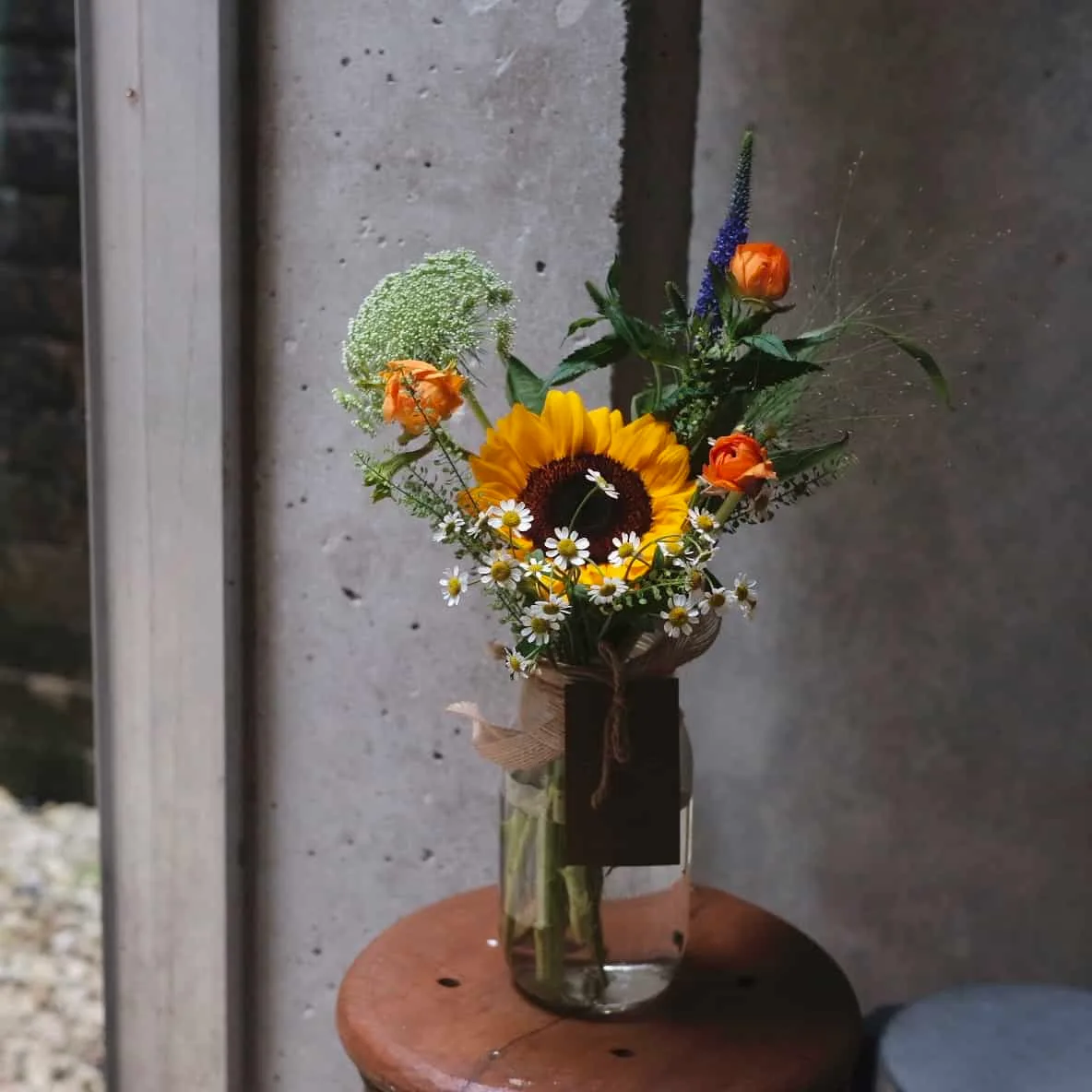 Sunflower in Jar