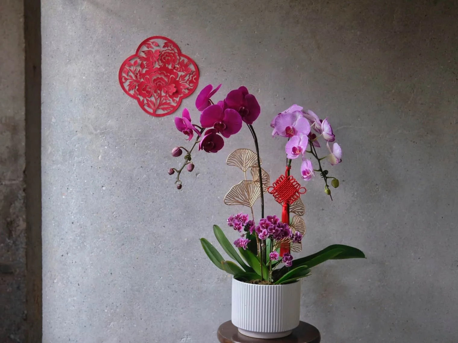 Mix Phalaenopsis Orchids in Pot 1