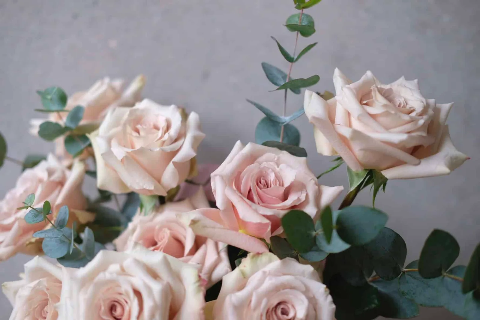Quicksand Roses Hat Box 4