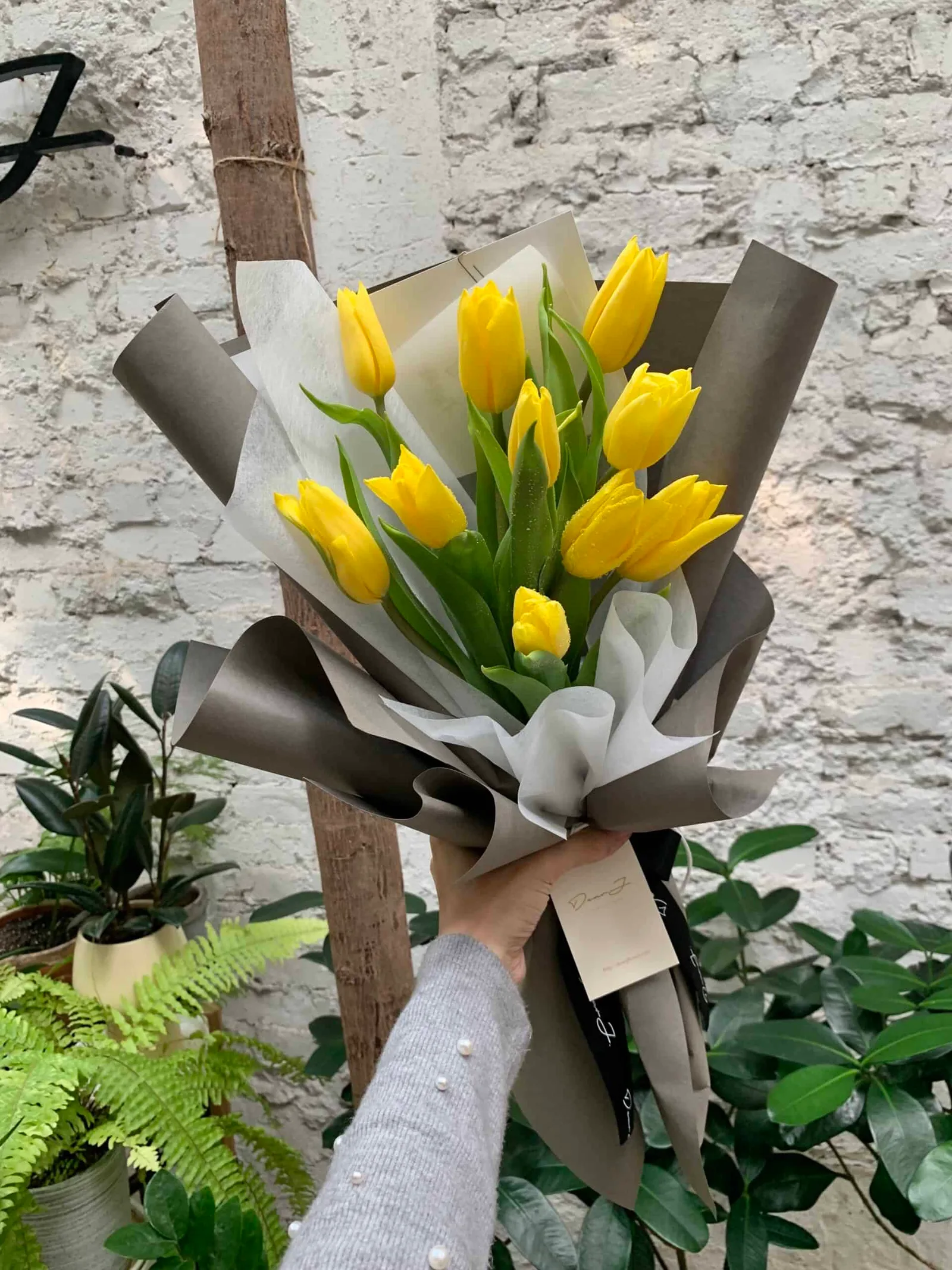 Tulips Bouquet (Single Colour) 5
