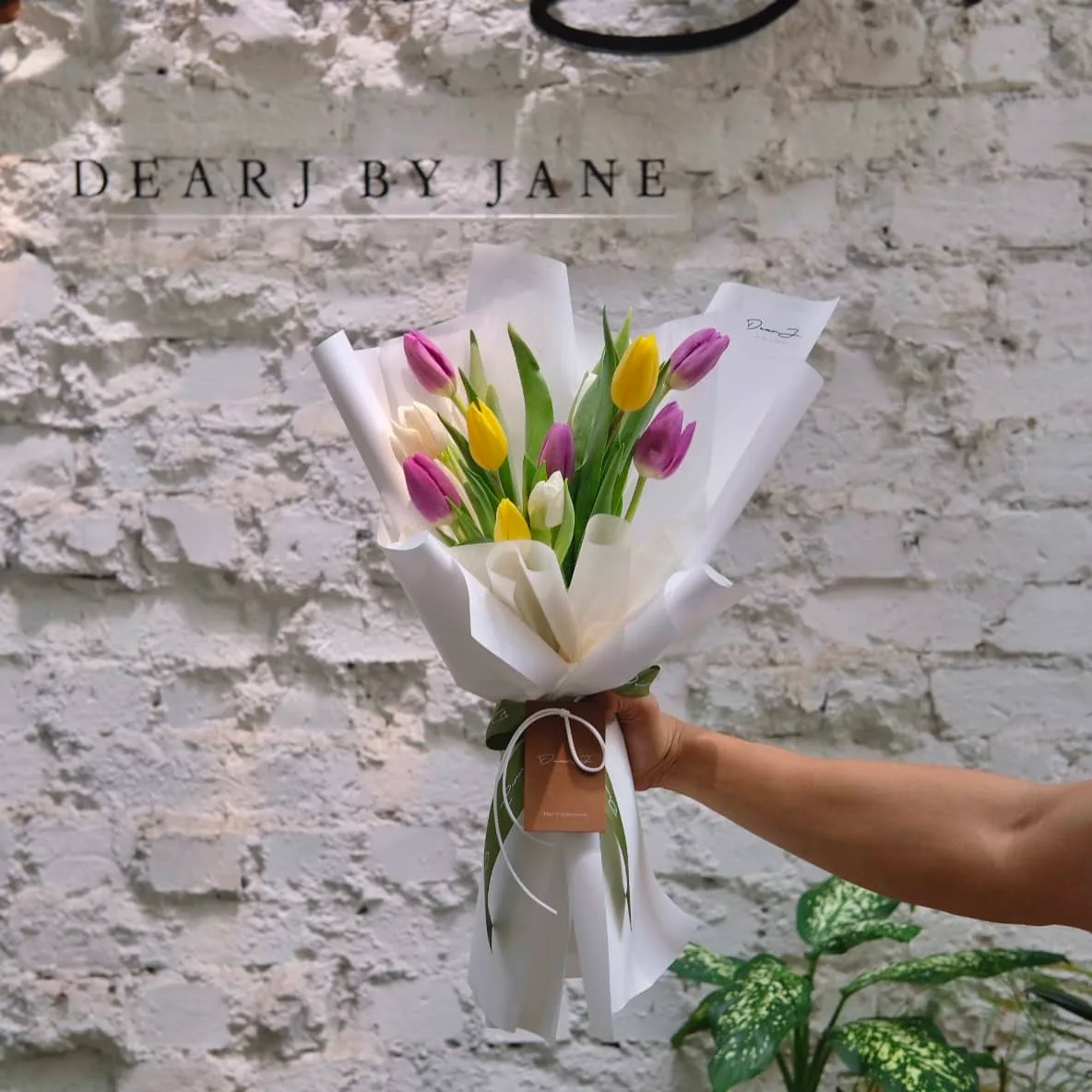 12 Colourful Dutch Tulips (Limited)