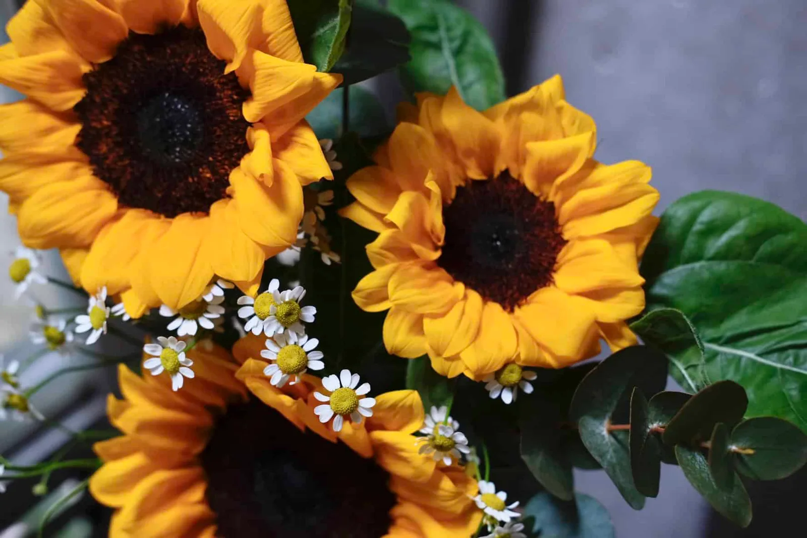 Sunflowers in Jar 2