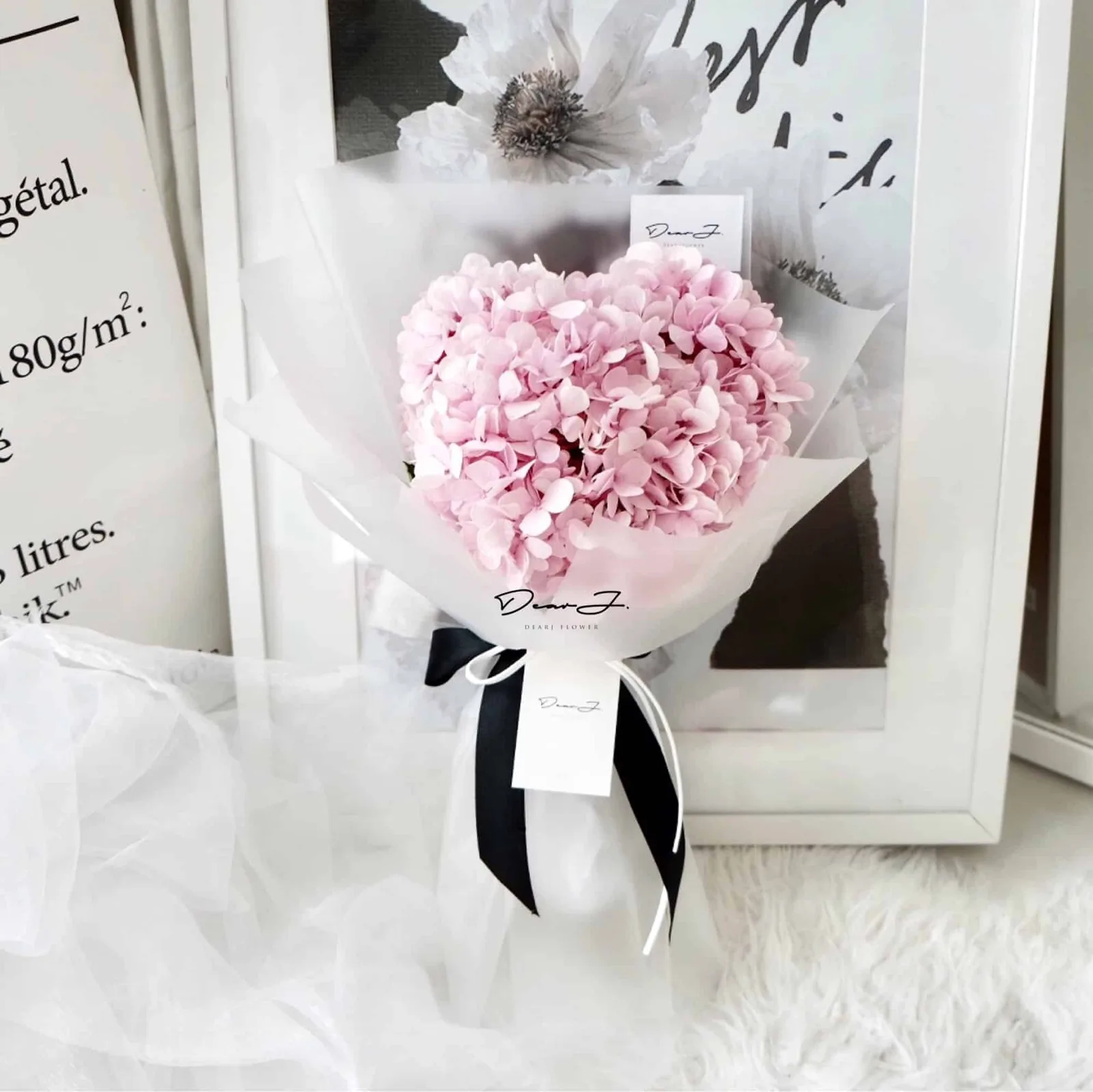 Hydrangea 1