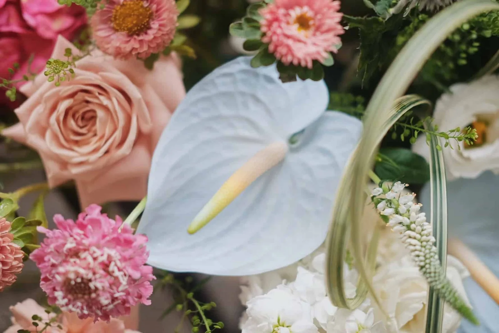 Pink Blue Ombre Flower Stand 4