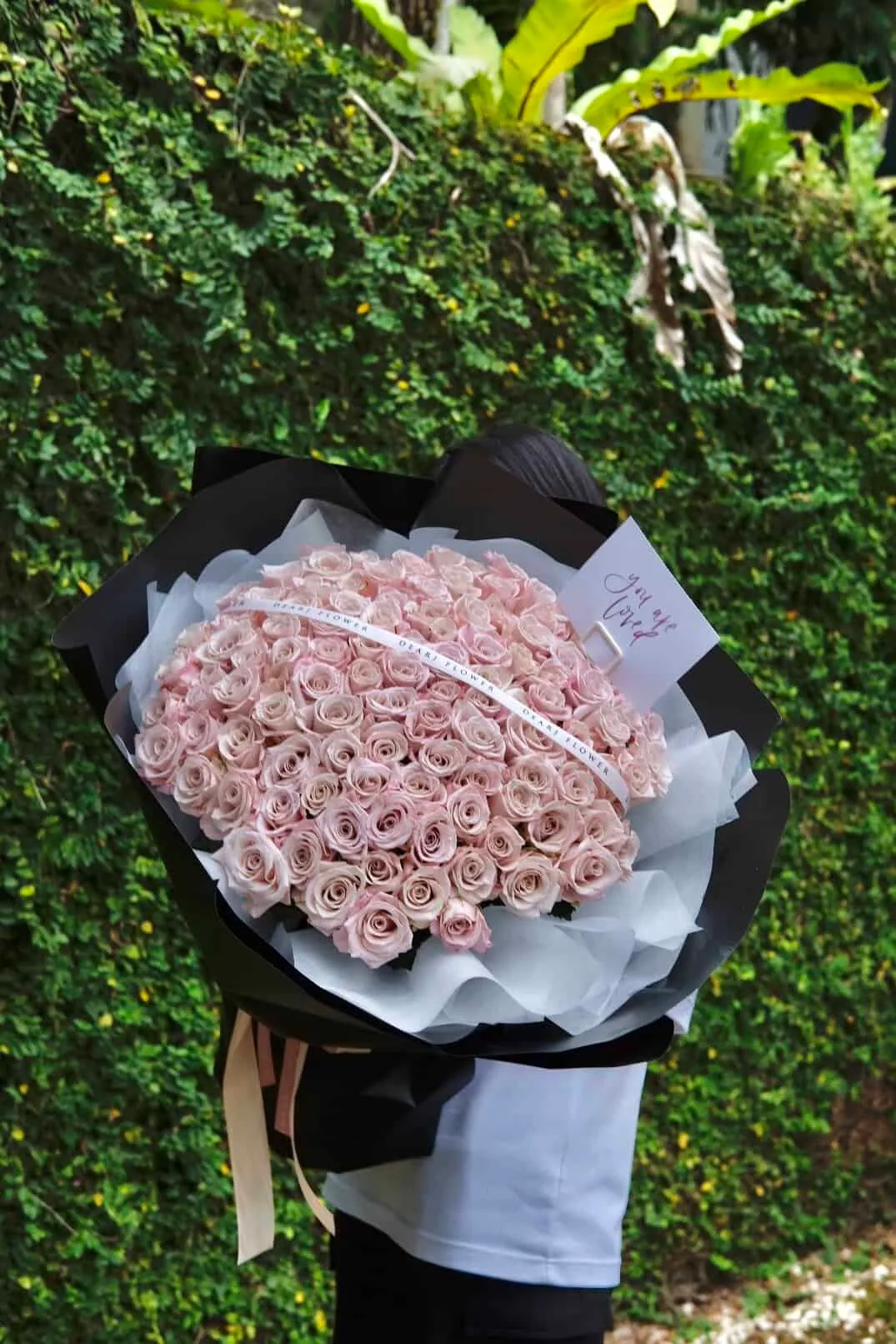 Menta